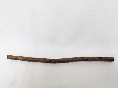 お買得！国産 自然木【杉】止まり木 ミニ30cm（止まり木のみ）ヒビあり